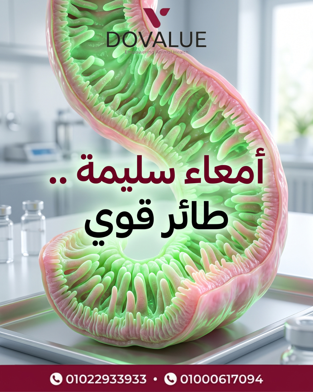 الشريحة 3